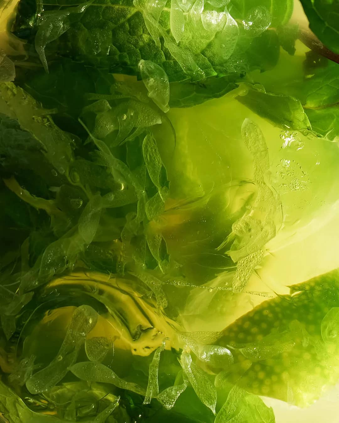 Navegantes Restobar - 3