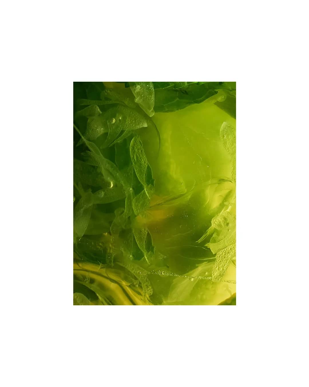 Navegantes Restobar - 8